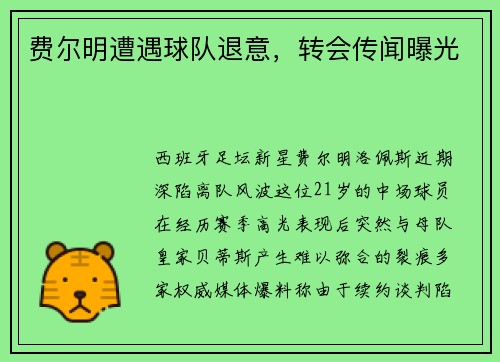 费尔明遭遇球队退意，转会传闻曝光